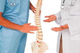 Doctor and Spine Model